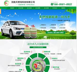 建設(shè)河南天燃動(dòng)力純科技網(wǎng)站